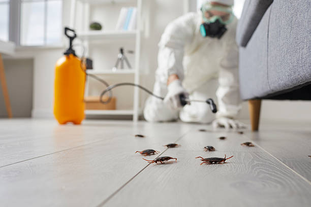 Commercial Rodent Management in Lincoln Park